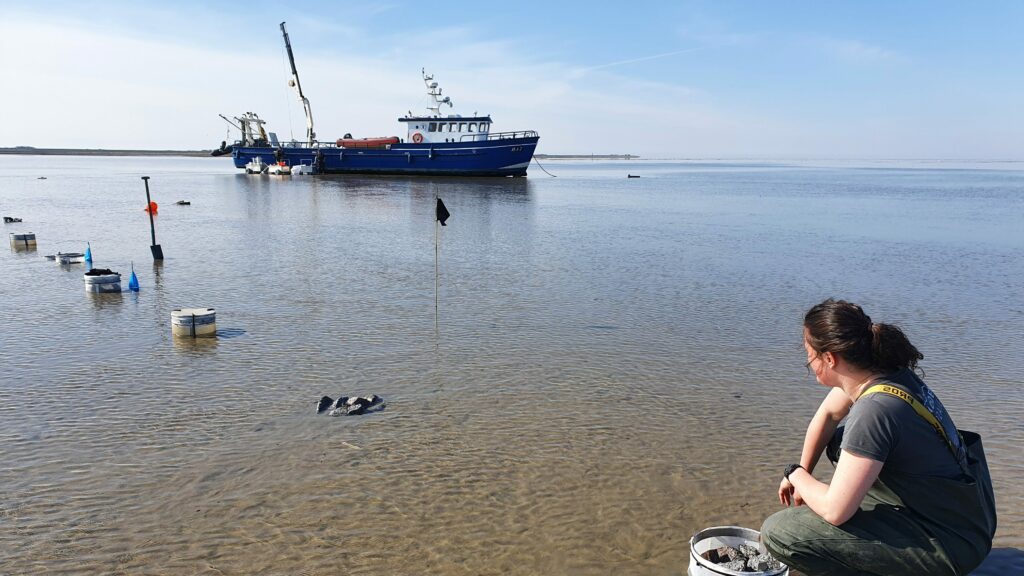 Een vrouw kijkt naar haar onderzoeksopstelling in de Waddenzee met op de achtergrond een boot.